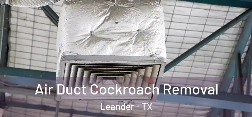 Air Duct Cockroach Removal Leander - TX