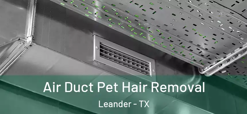 Air Duct Pet Hair Removal Leander - TX