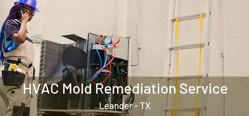  HVAC Mold Remediation Service Leander - TX