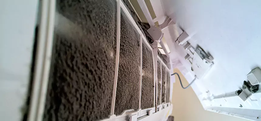 Preventive Air Duct Bacteria Removal in Leander