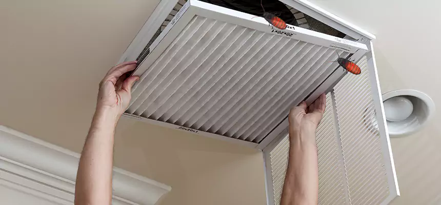 Preventive Cockroach-Proofing for Ducts in Leander