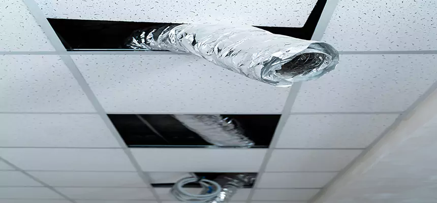 Our Air Duct Pet Hair Removal Services in Leander, TX