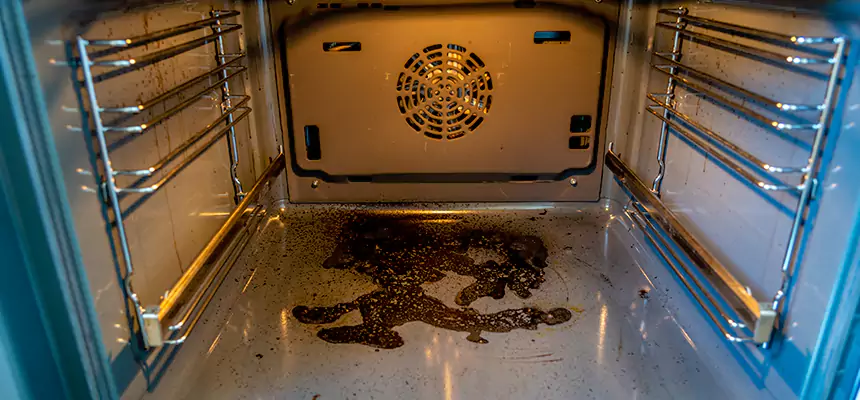 Our Dryer Vent Mold Cleaning Services in Leander, TX