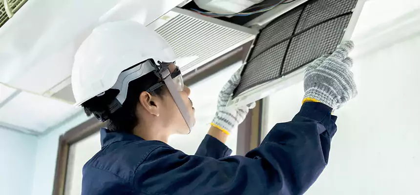 Our Mold & Mildew Removal from Air Ducts Services in Leander, TX