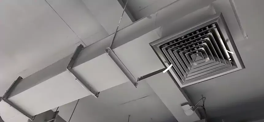 Our Pest Removal From Ducts Services in Leander, TX