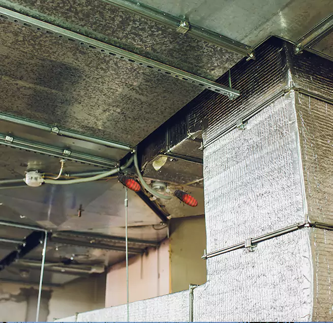 Why Homeowners & Businesses Trust Us in Leander, TX?