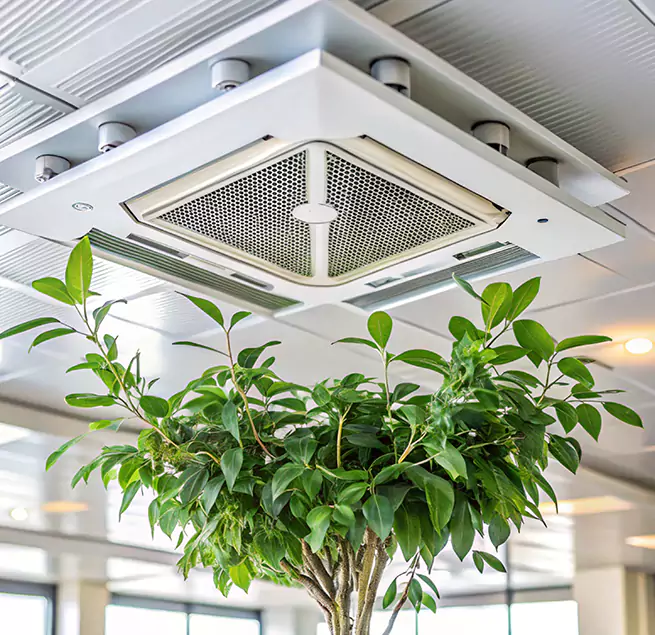 Why Homeowners & Businesses Trust Us in Leander, TX