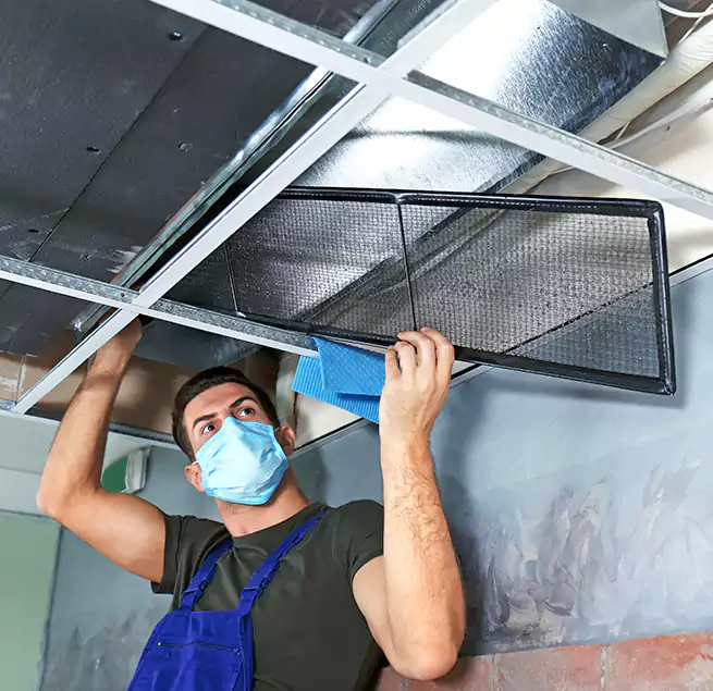 Why Homeowners Businesses Trust Us in Leander, TX